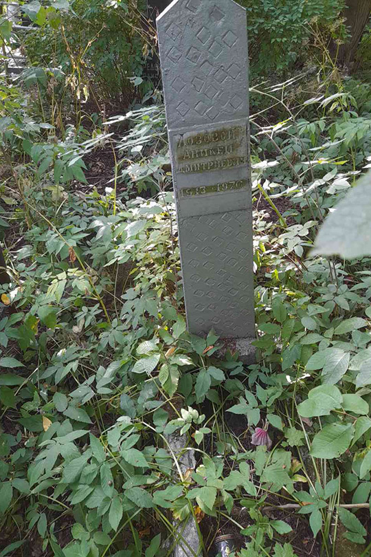 Лозовой Аникей Дмитриевич