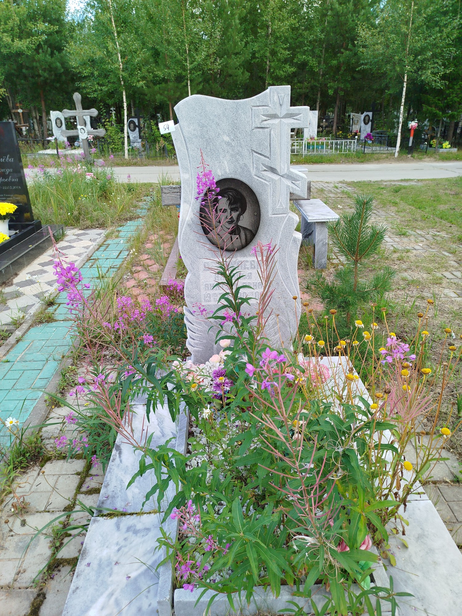Дедикаева Наталья Анатольевна