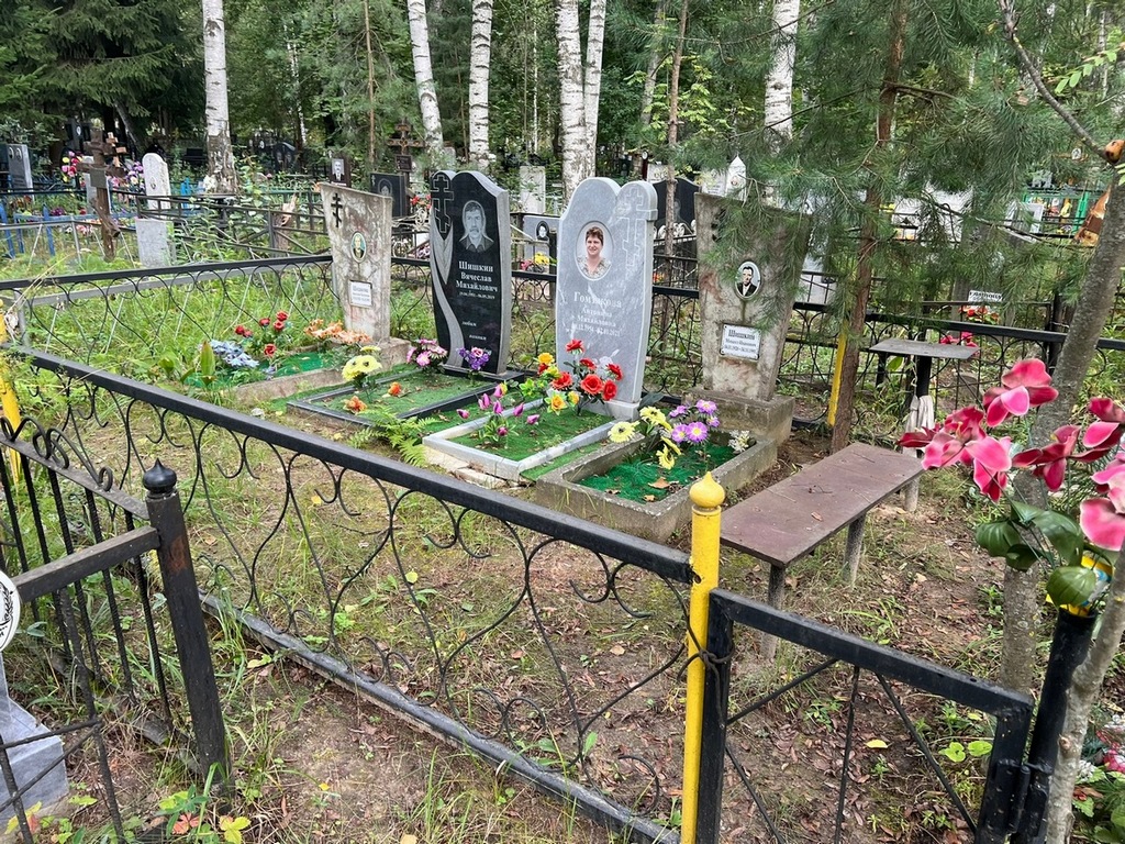 Шишкин Вячеслав Михайлович