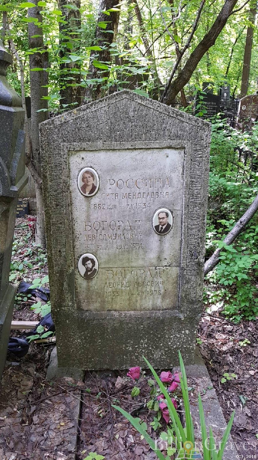 Богорад Леонид Львович