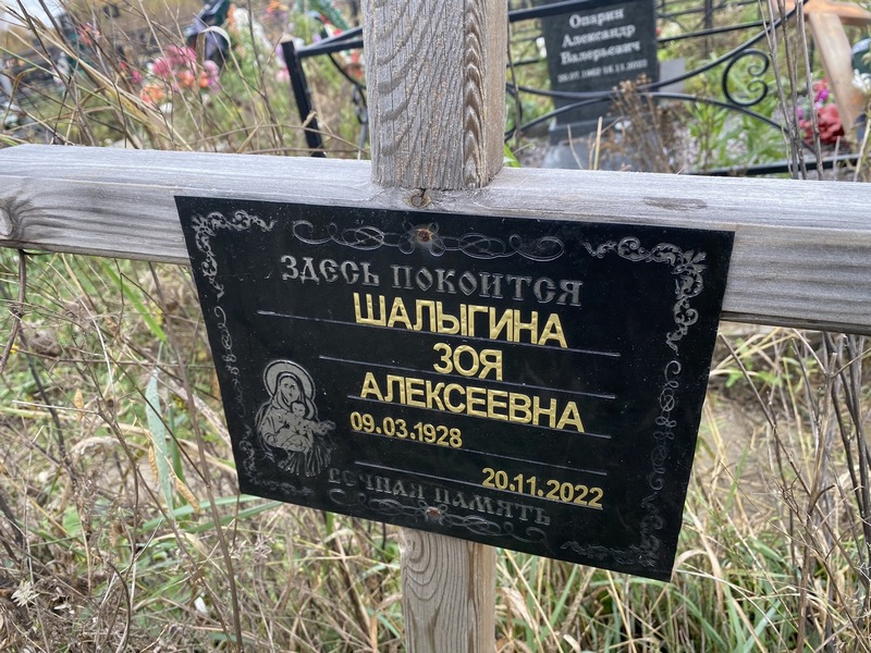 Шалыгина