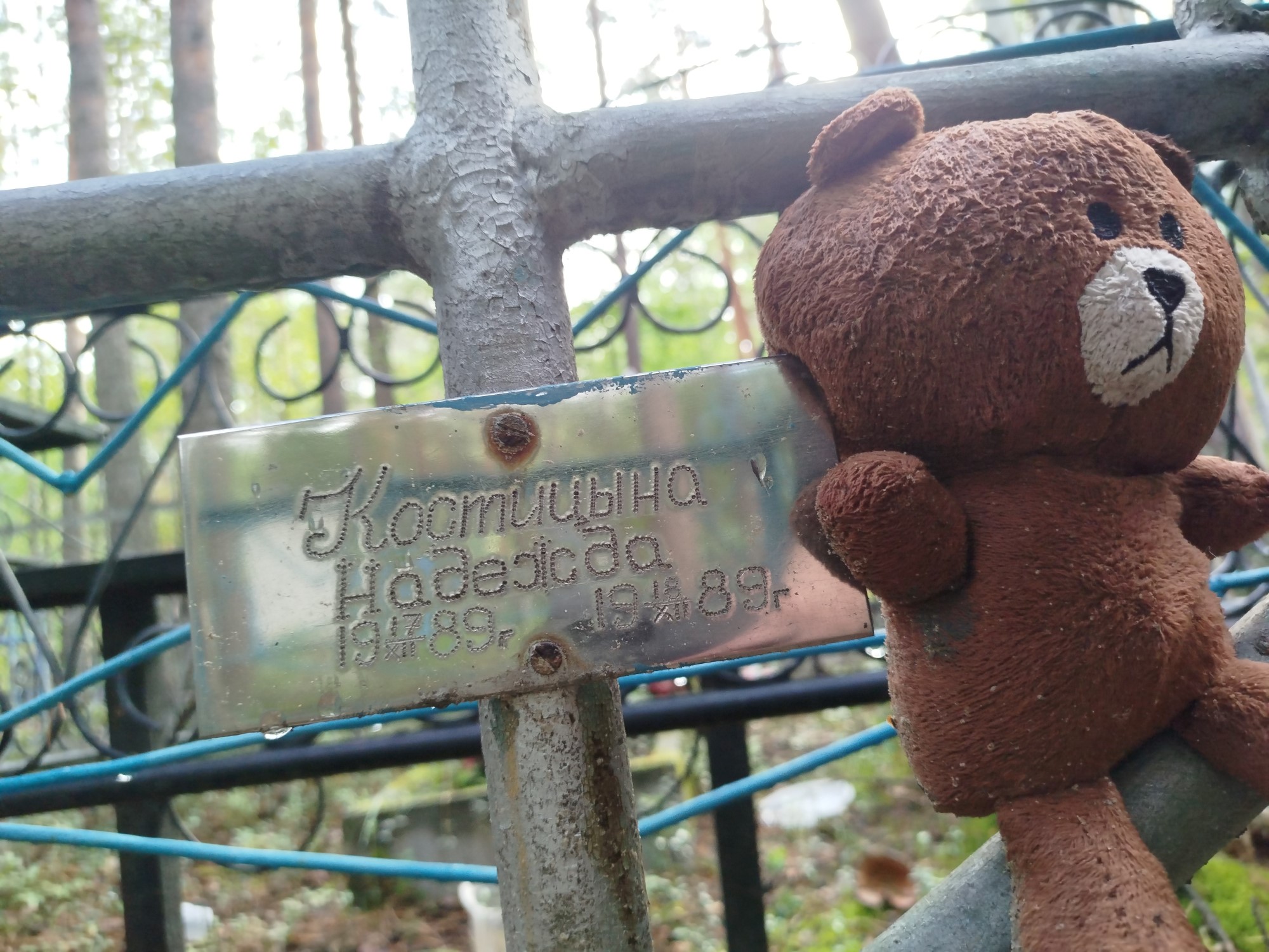 Костицына Надежда