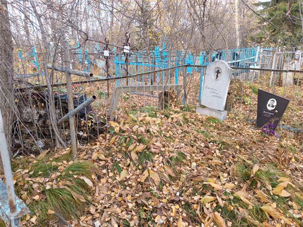 Шепетуха Александр Степанович
