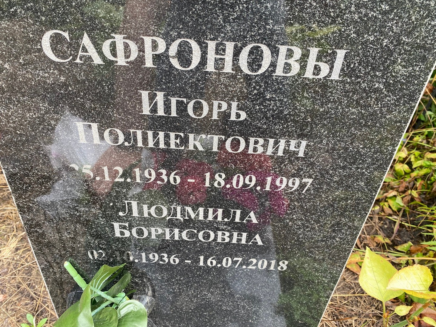 Сафронова
