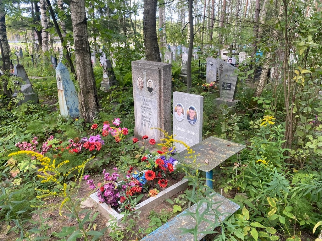 Демачев Вадим Николаевич