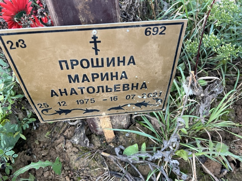 Прошина