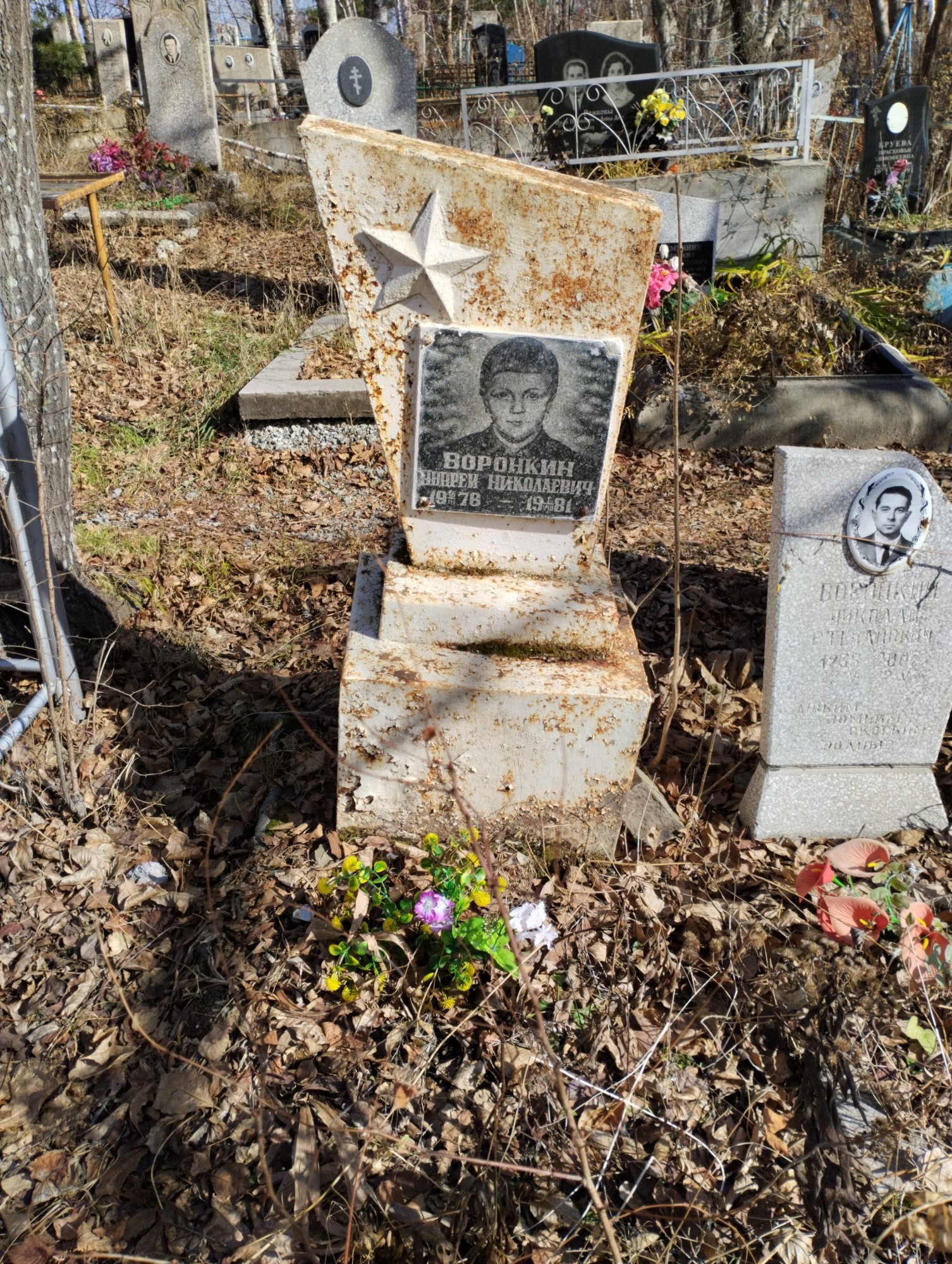 Воронкин Андрей Николаевич