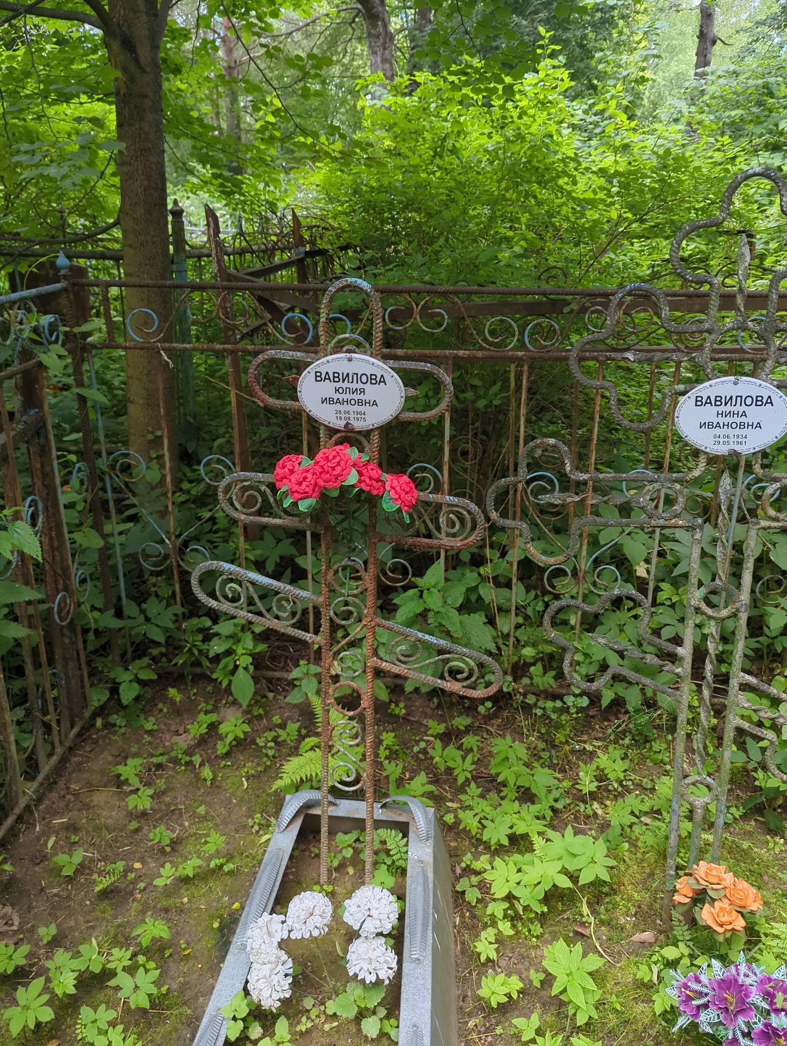 Вавилова Юлия Ивановна