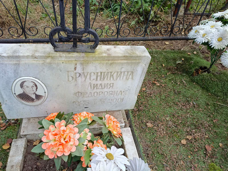 Брусникина