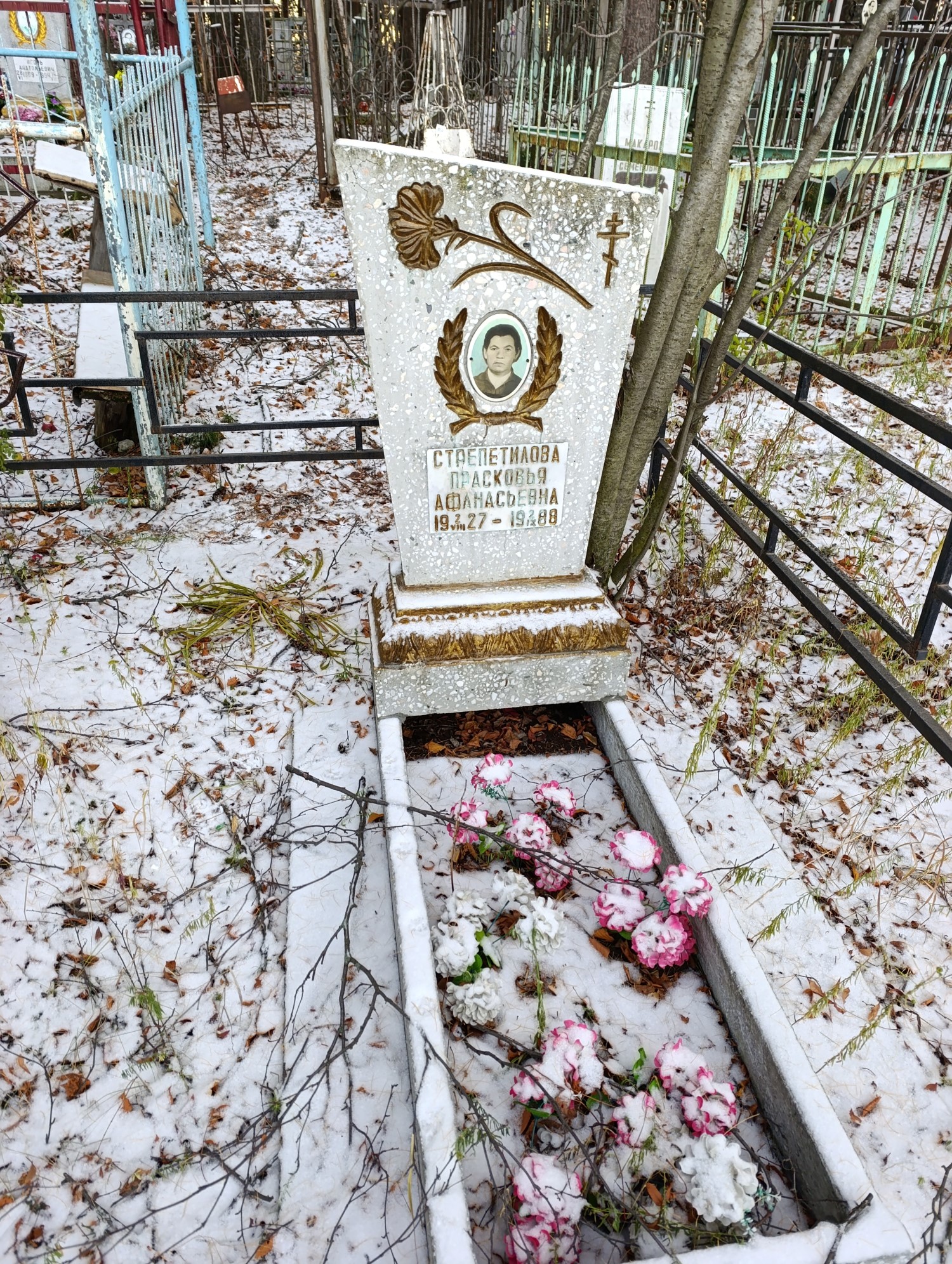 Стрепитилова Прасковья Афанасьевна