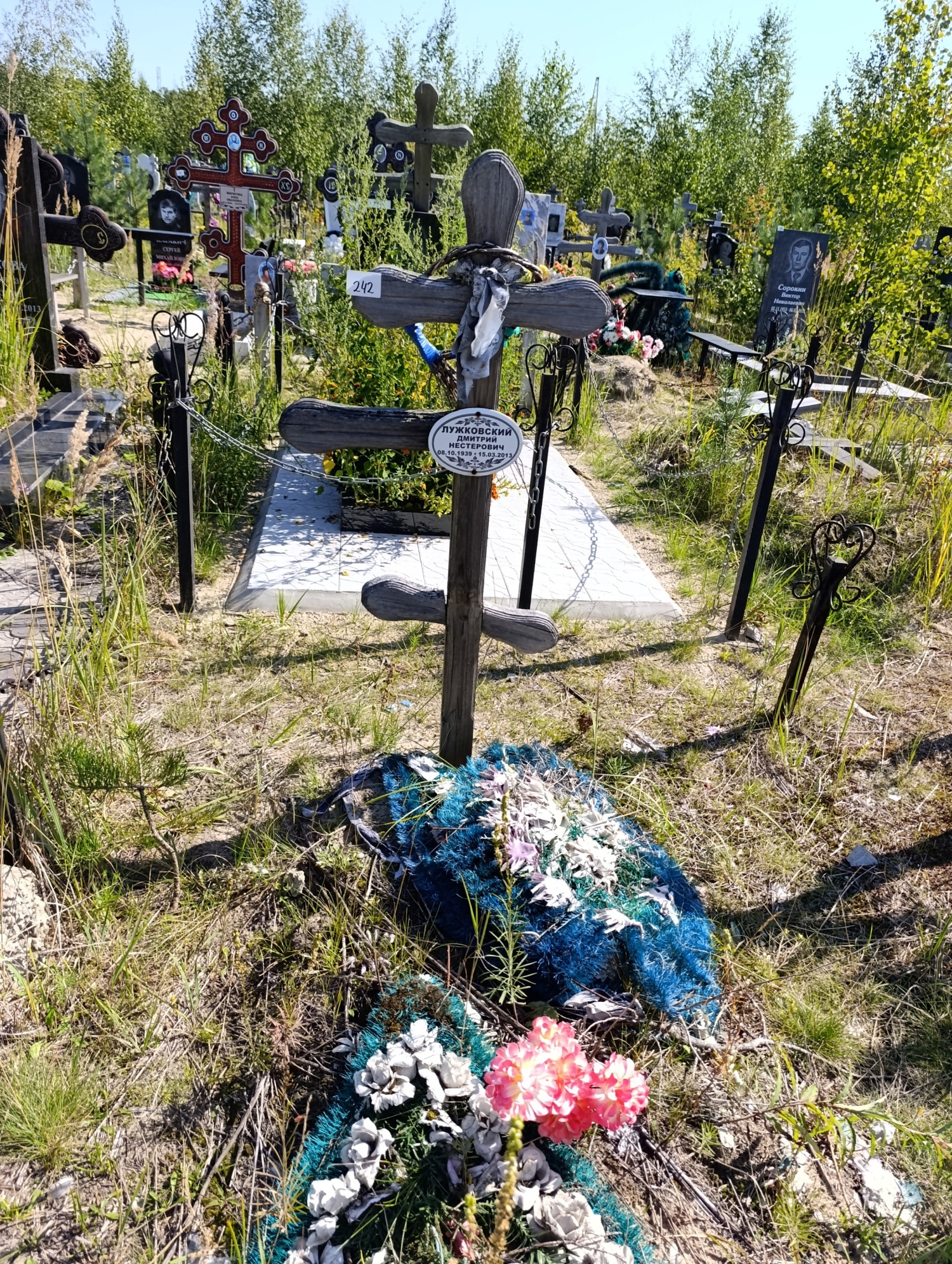 Лужковский Дмитрий Нестерович