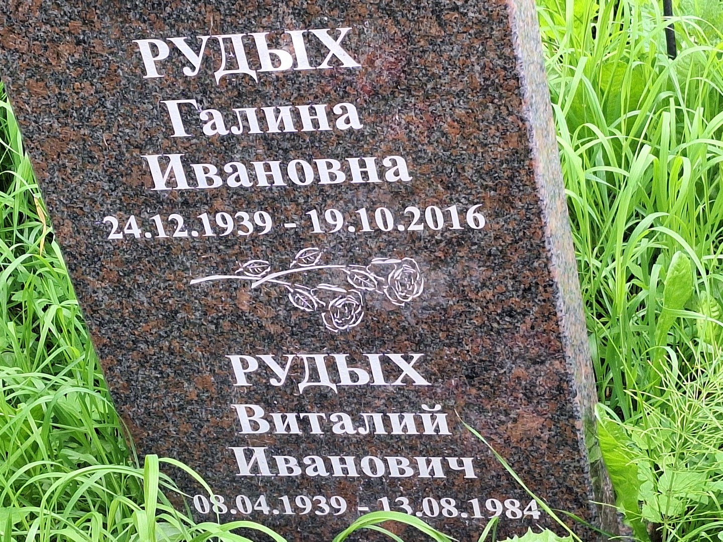 Рудых