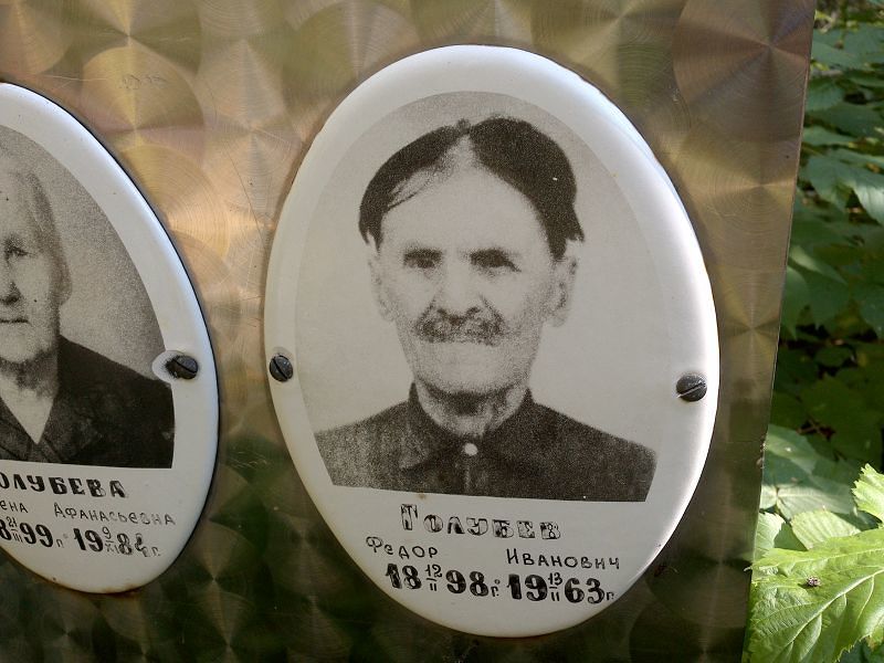 Голубев