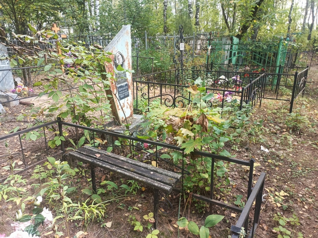 Камышев Владислав Александрович