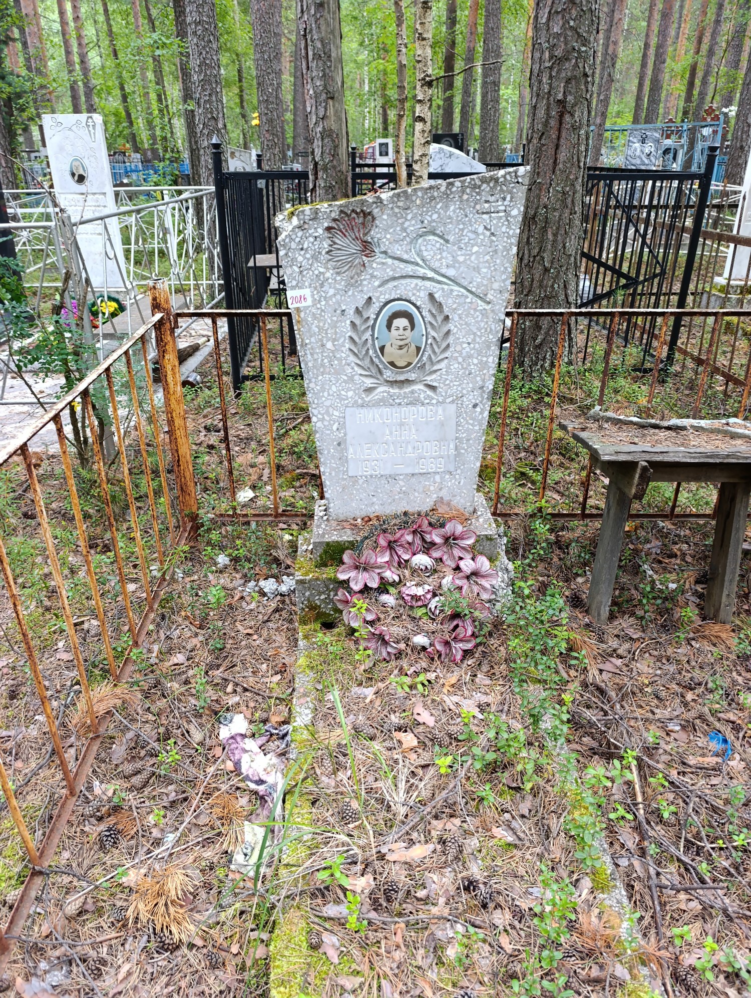 Никонорова Анна Александровна
