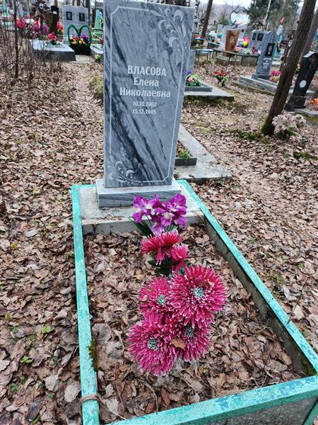 Власова Елена Николаевна