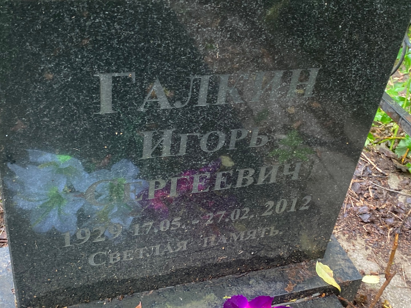 Галкин