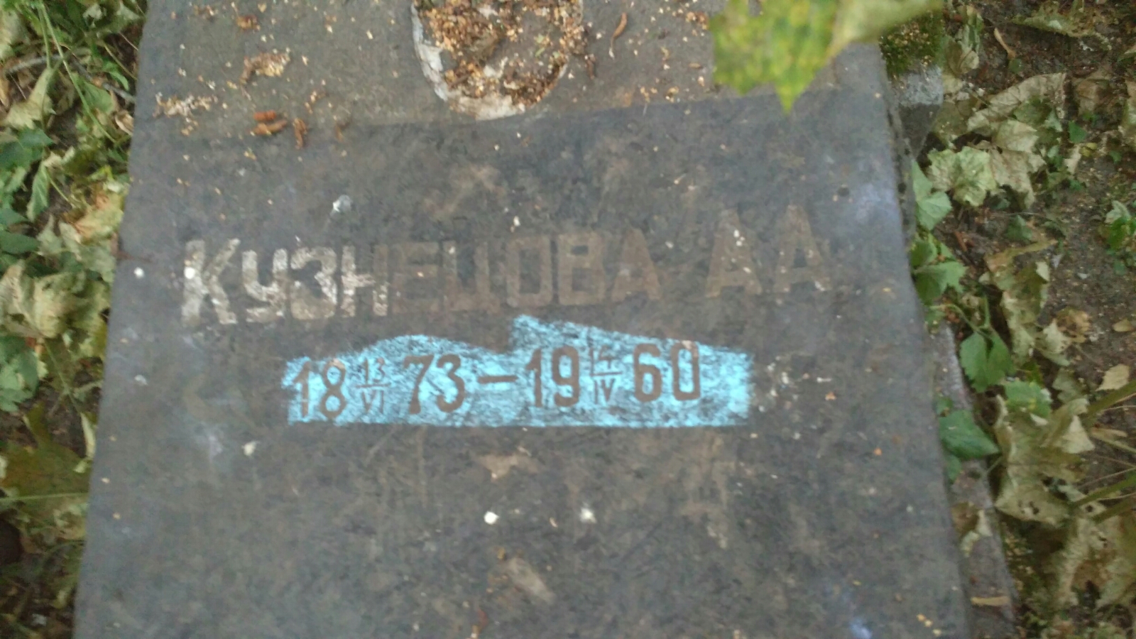 Кузнецова А.А
