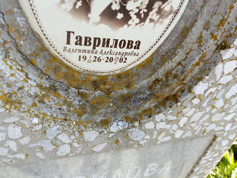 Гаврилова
