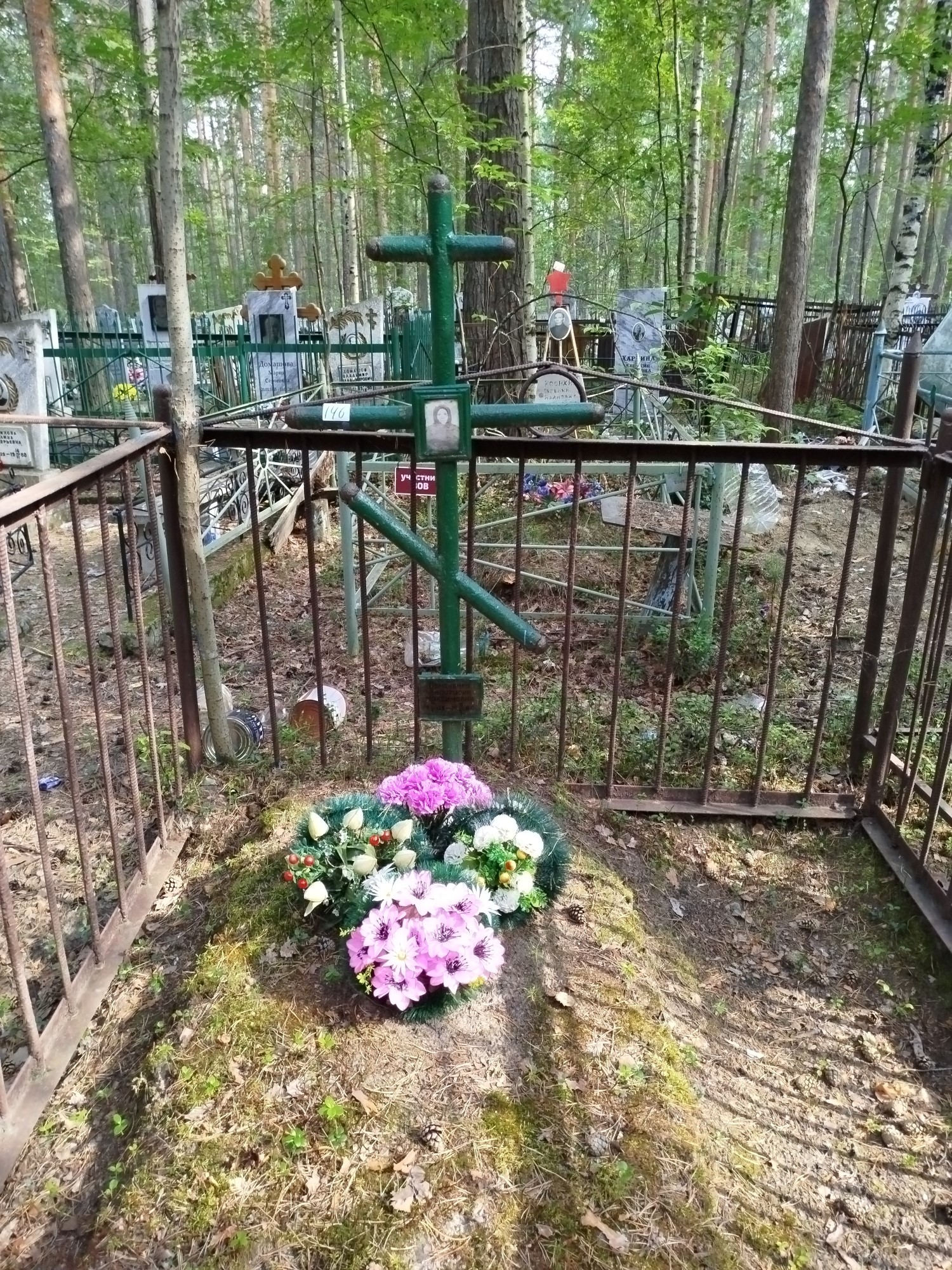 Семененко Анастасия Максимовна