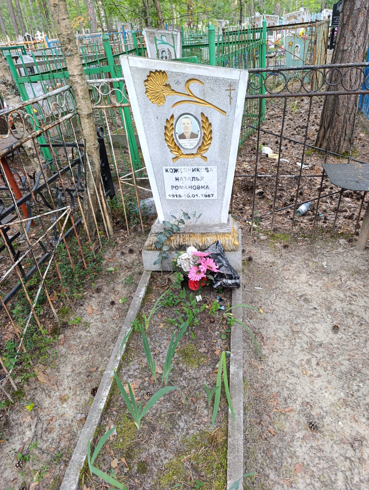Кожевникова Наталья Романовна
