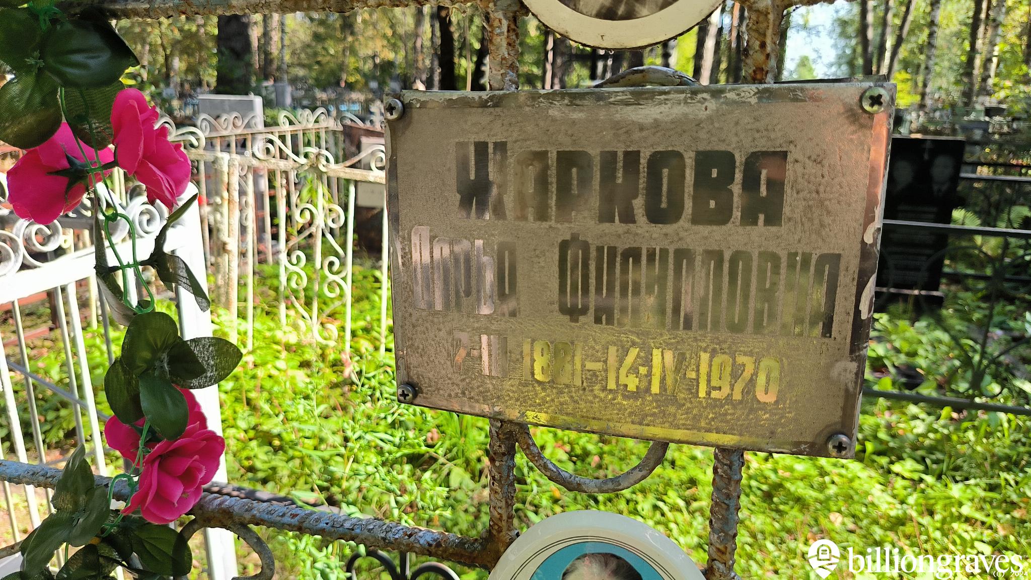Жаркова Дарья Филипповна