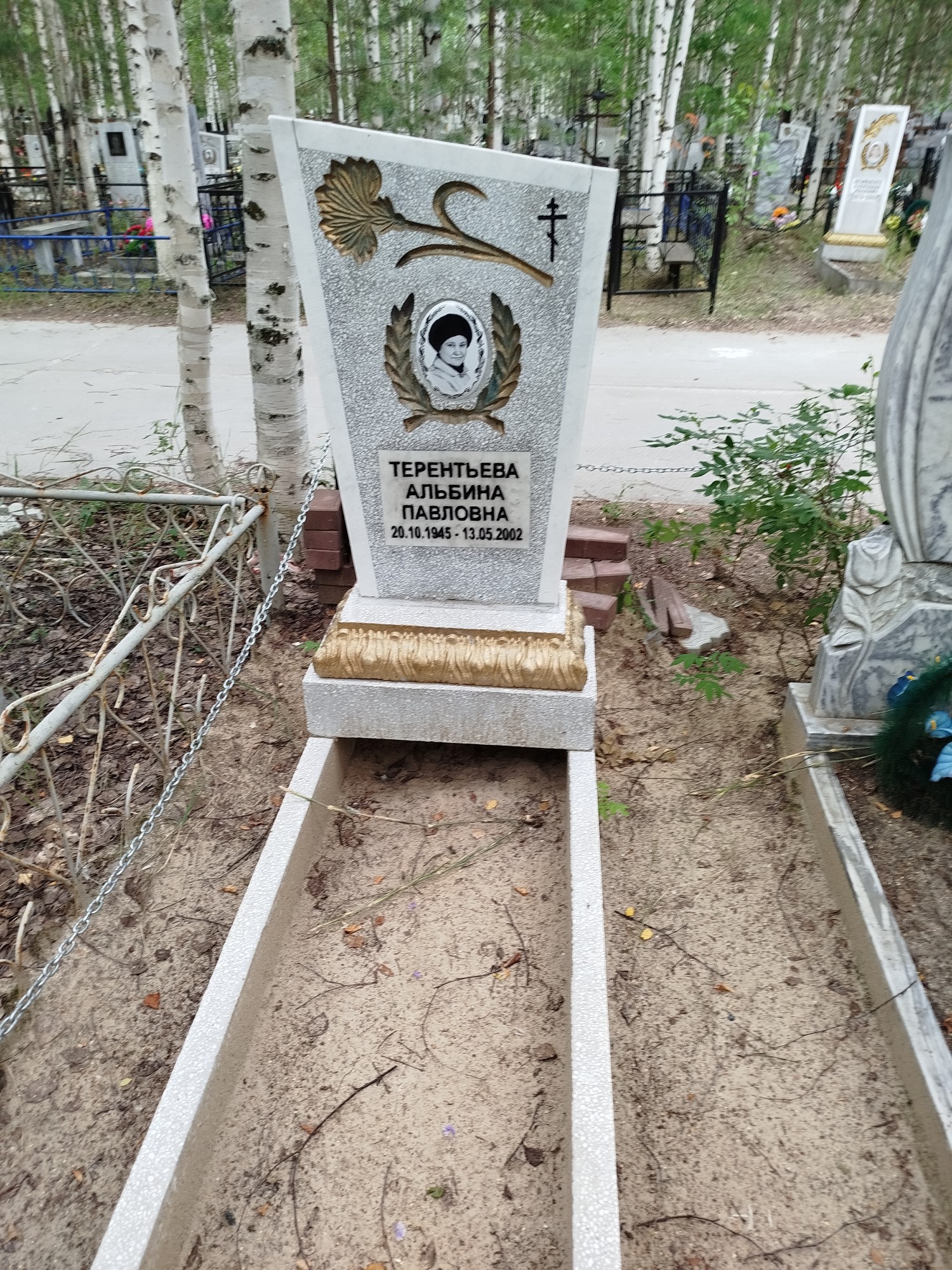 Терентьева Альбина Павловна