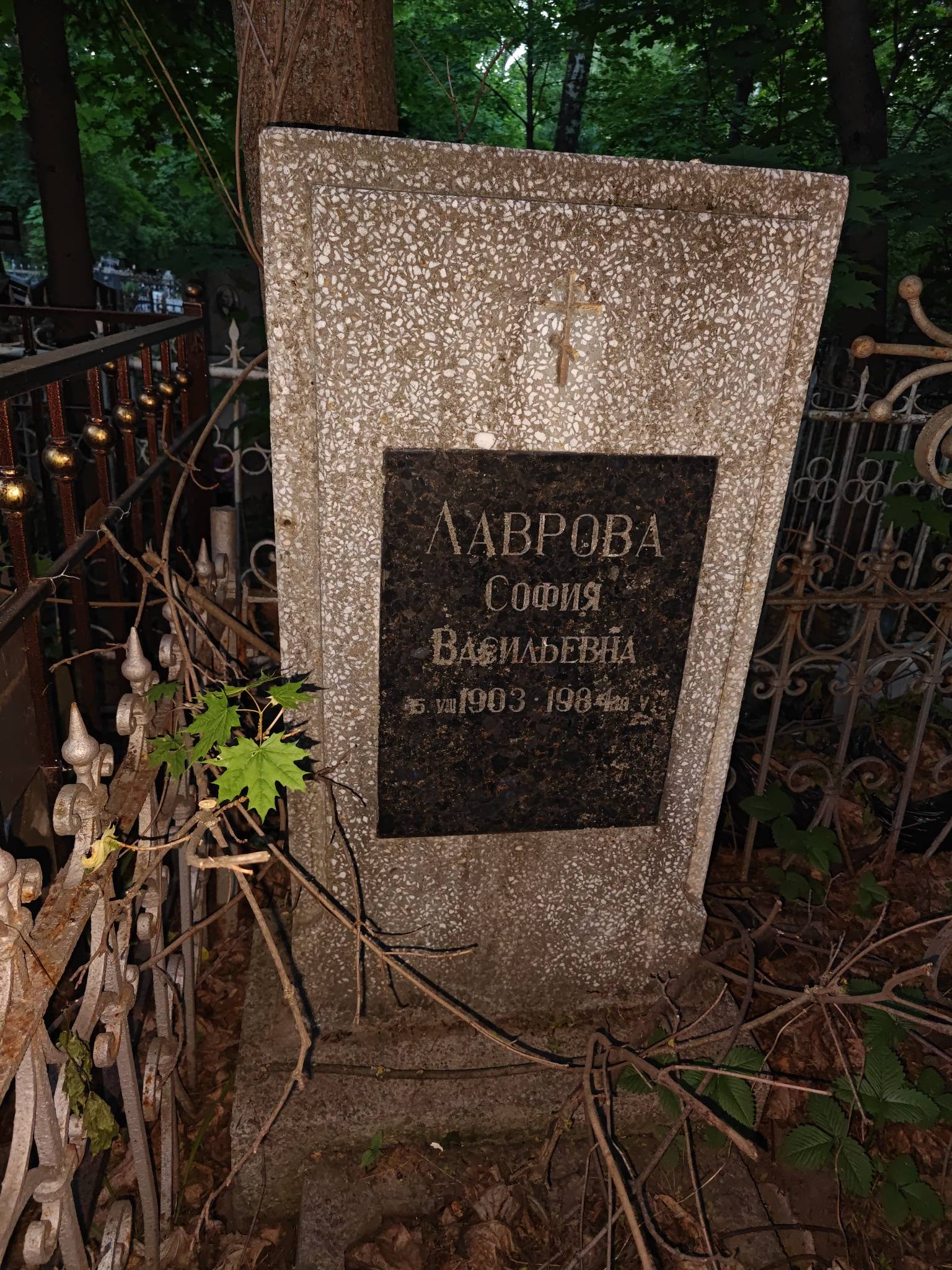 Лаврова София Васильевна