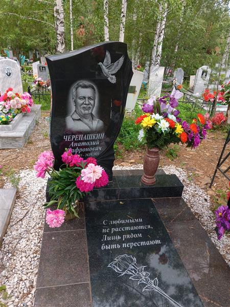 Черепашкин Анатолий Сафронович