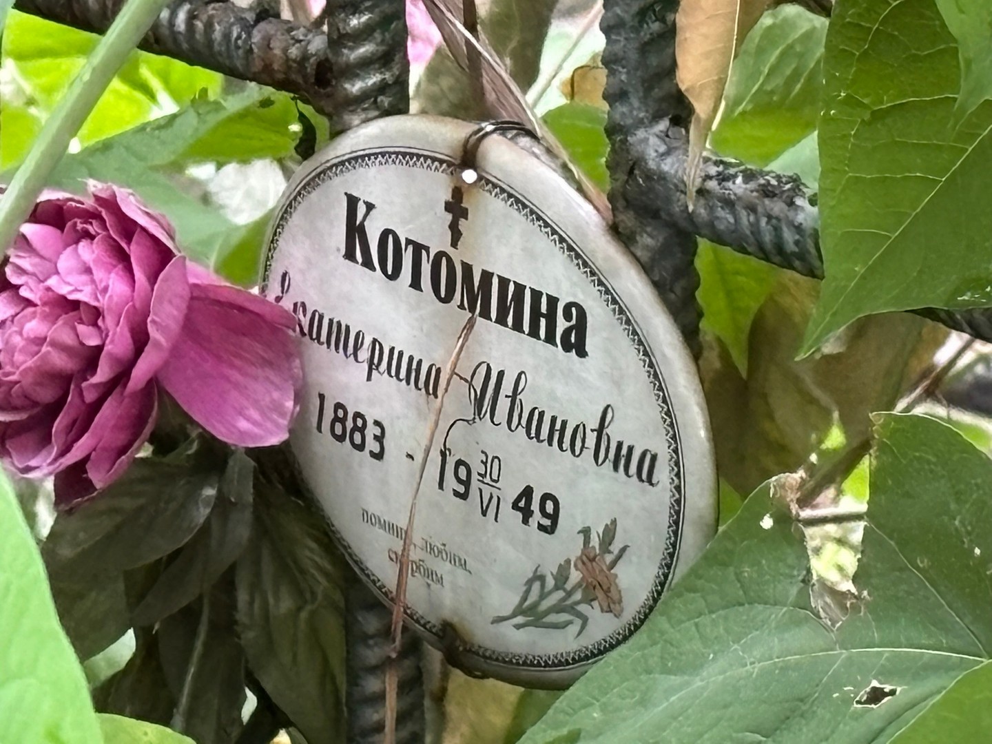 Котомина