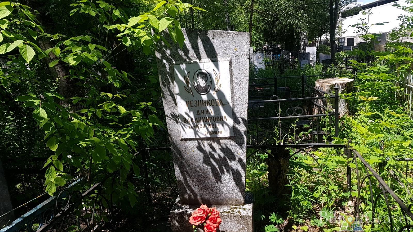 Резникова Дина Владимировна