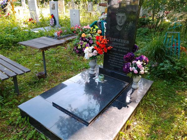 Дербенев Дмитрий Александрович