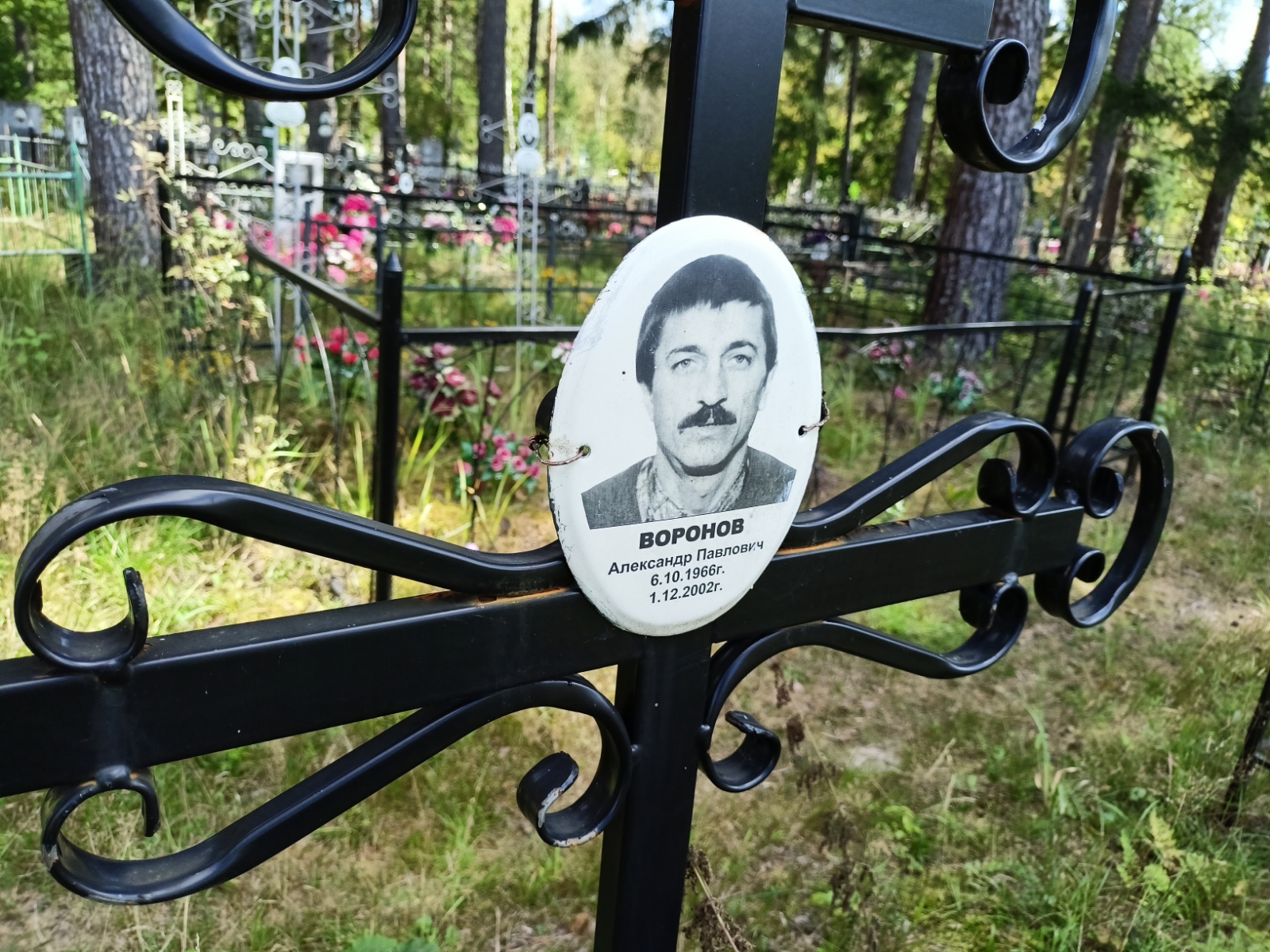 Воронов Александр Павлович