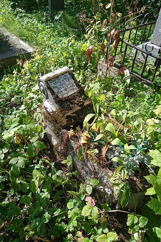 Меркулова А. А.
