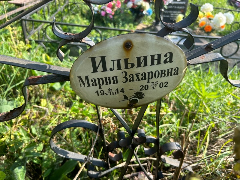Ильина