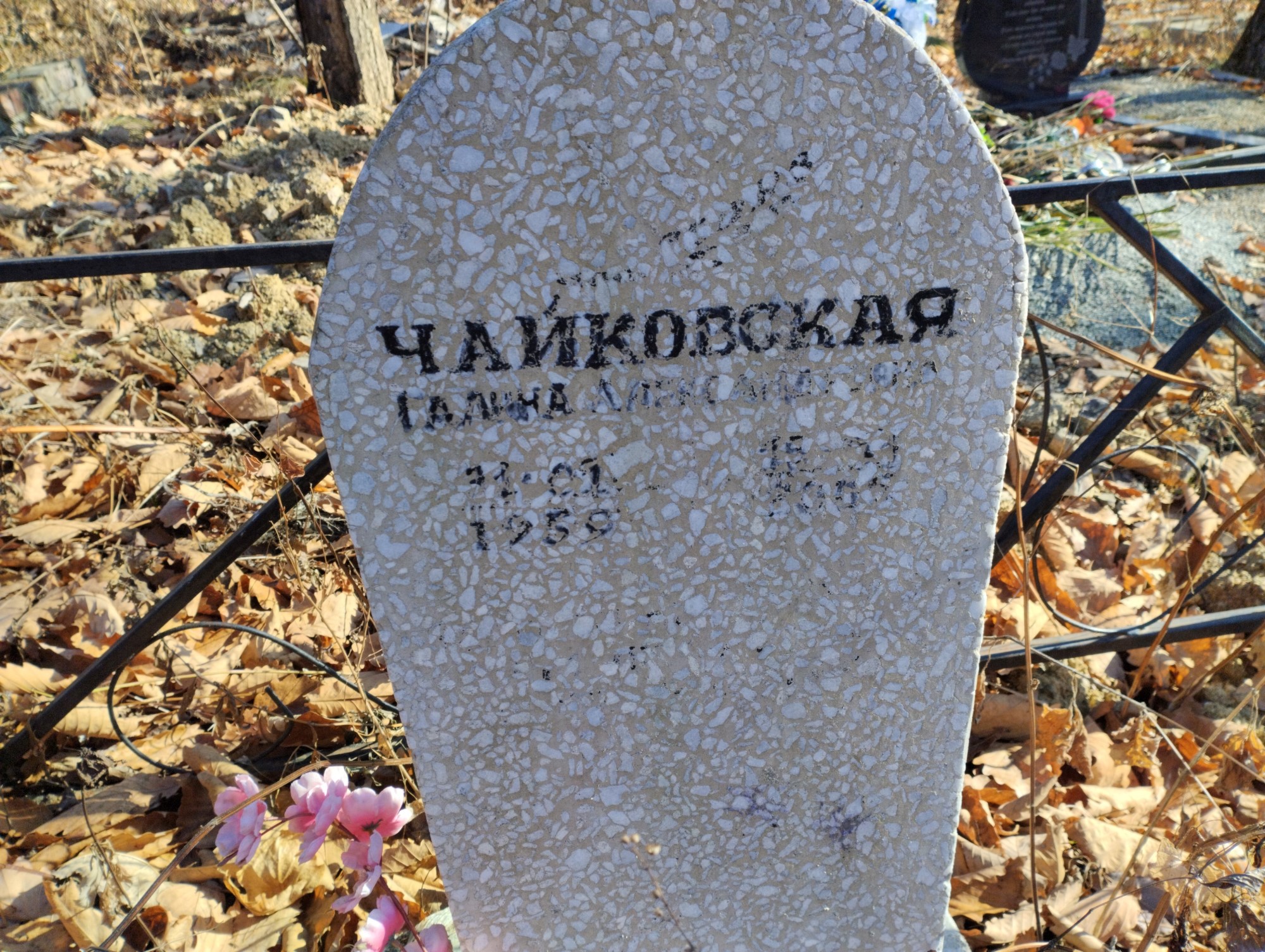 Чайковская Галина Ларионовна