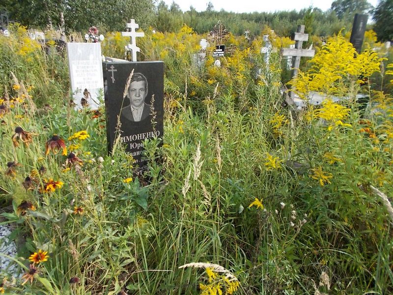 Симоненко Юрий Иванович