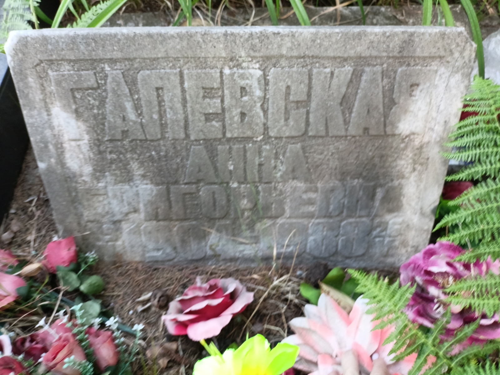 Галевская Анна Григорьевна