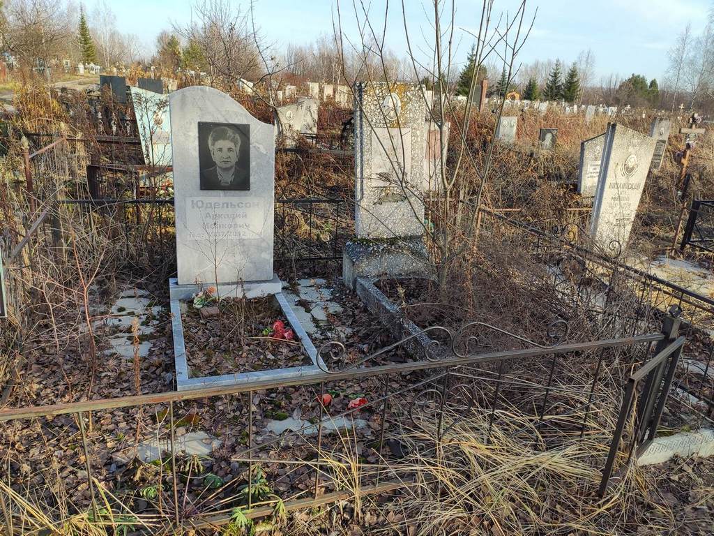 Юдельсон Аркадий Исакович