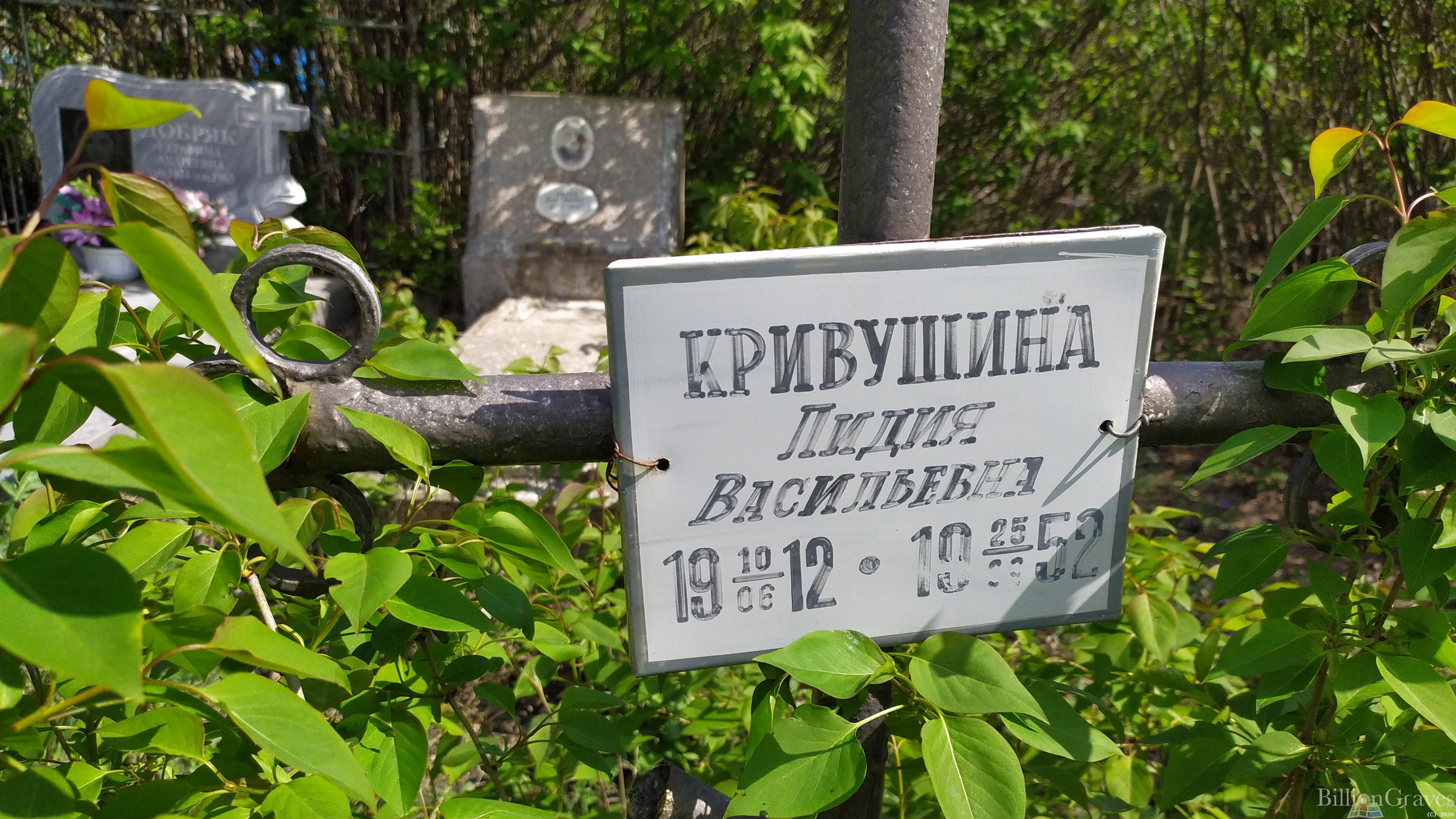 Кривушина Лидия Васильевна