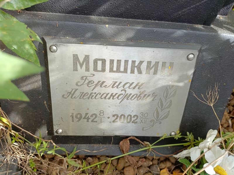 Герман Мошкин Александрович