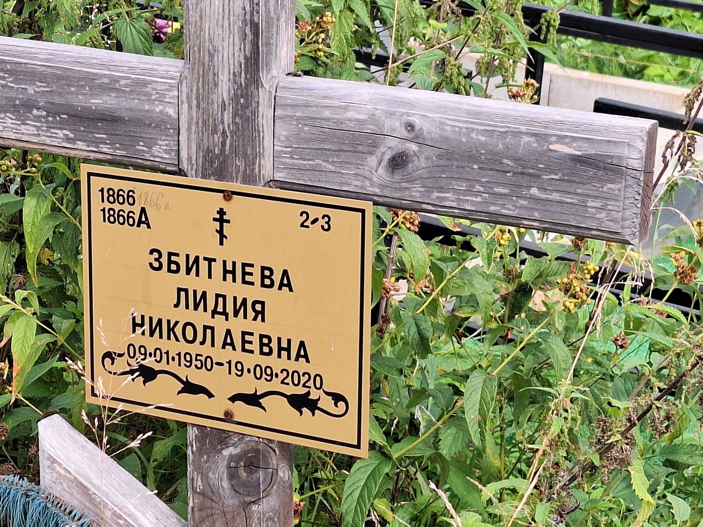 Збитнева