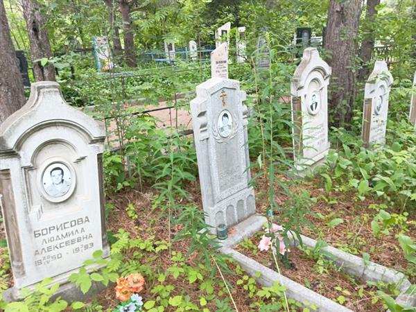 Борисов Александр Васильевич