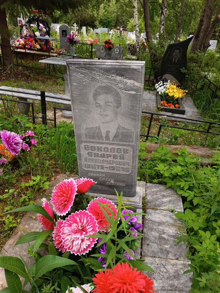 Соколов Андрей Александрович