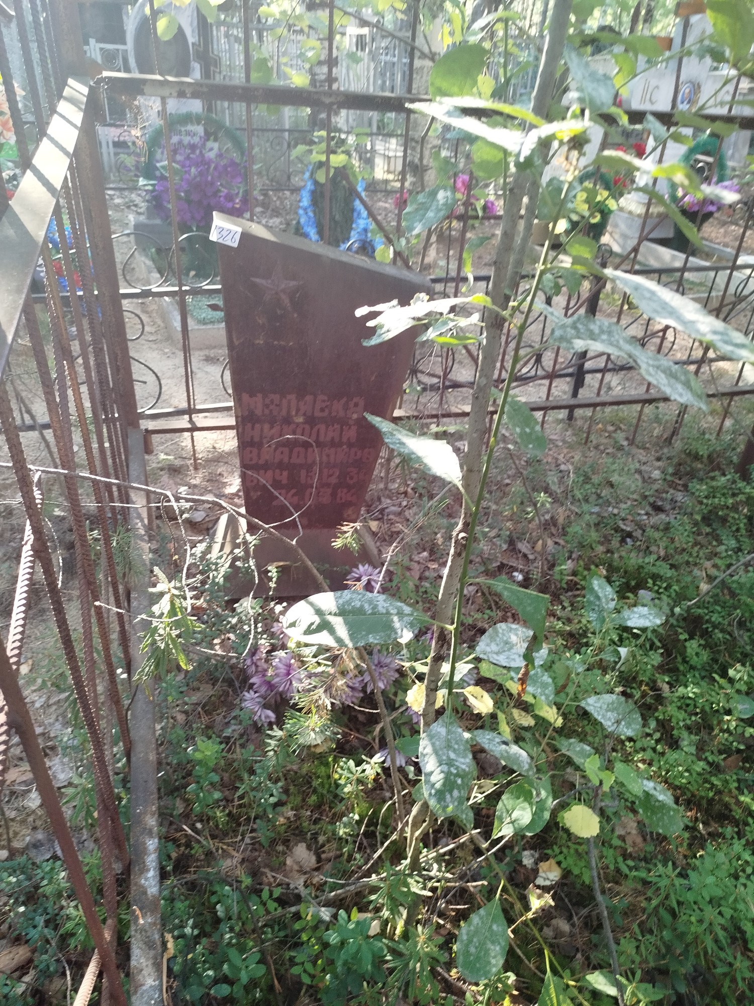 Малявка Николай Владимирович