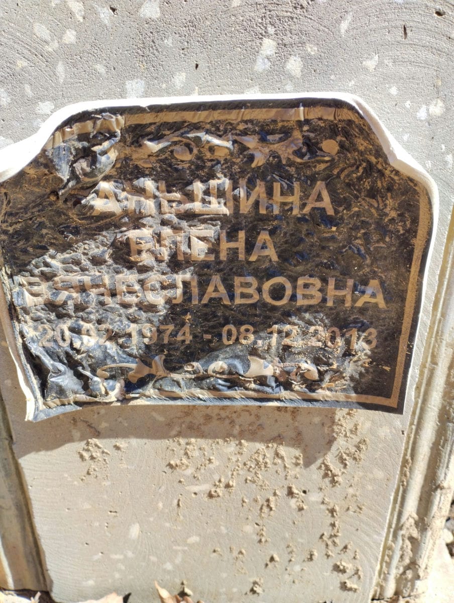 Аньшина Елена Вячеславовна