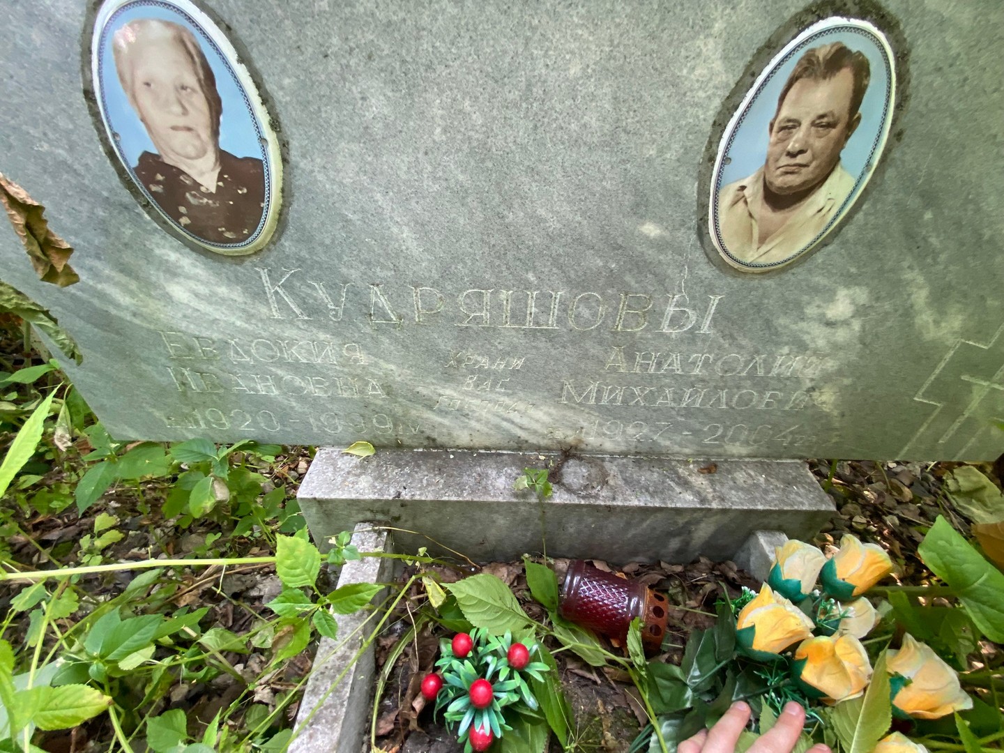 Кудряшова