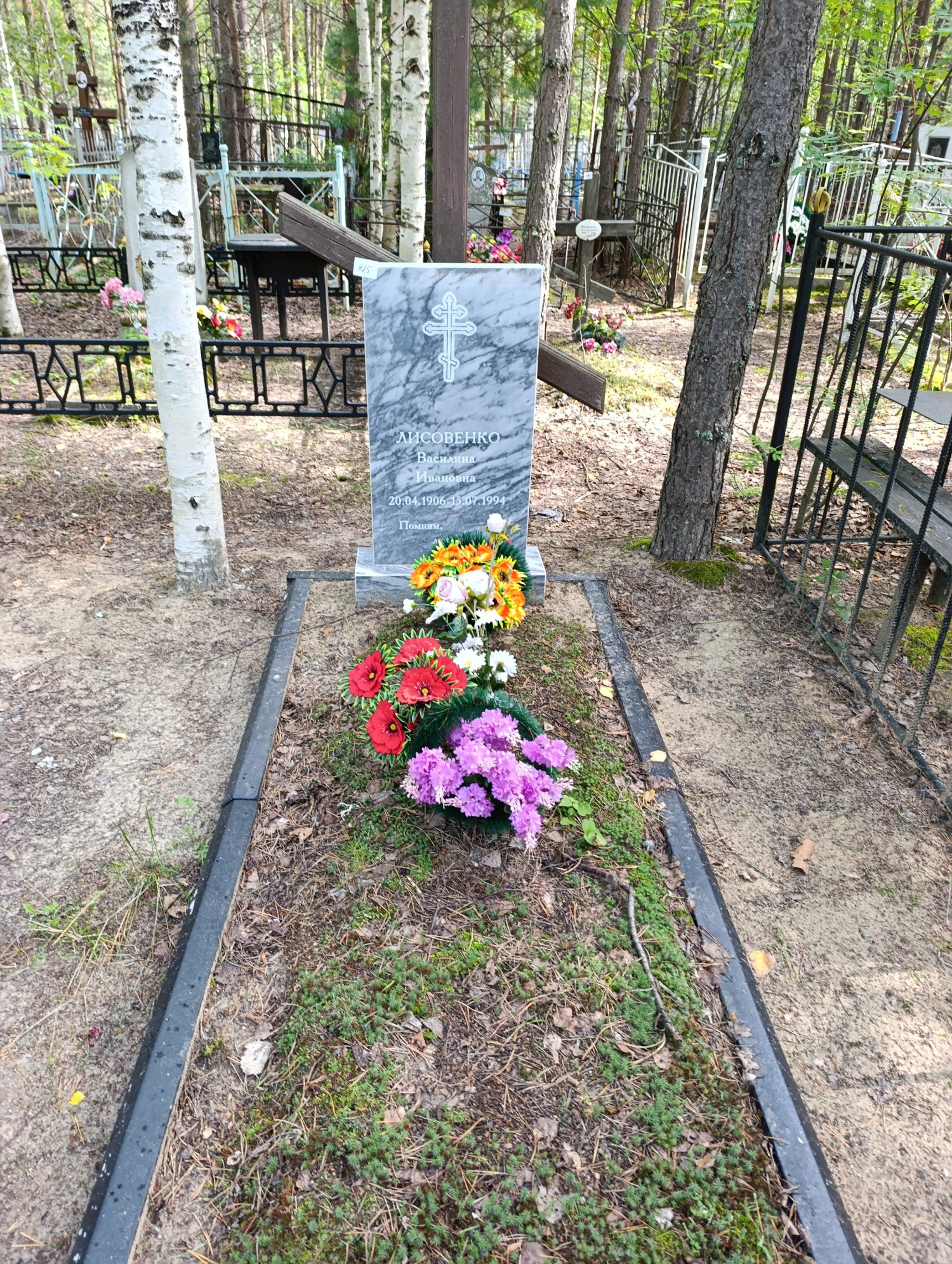 Лисовенко Василина Ивановна