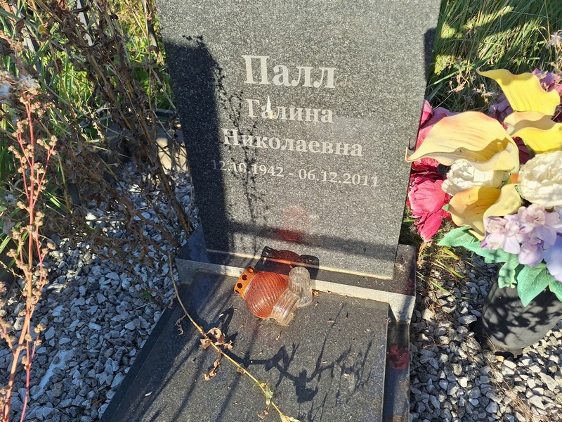 Палл