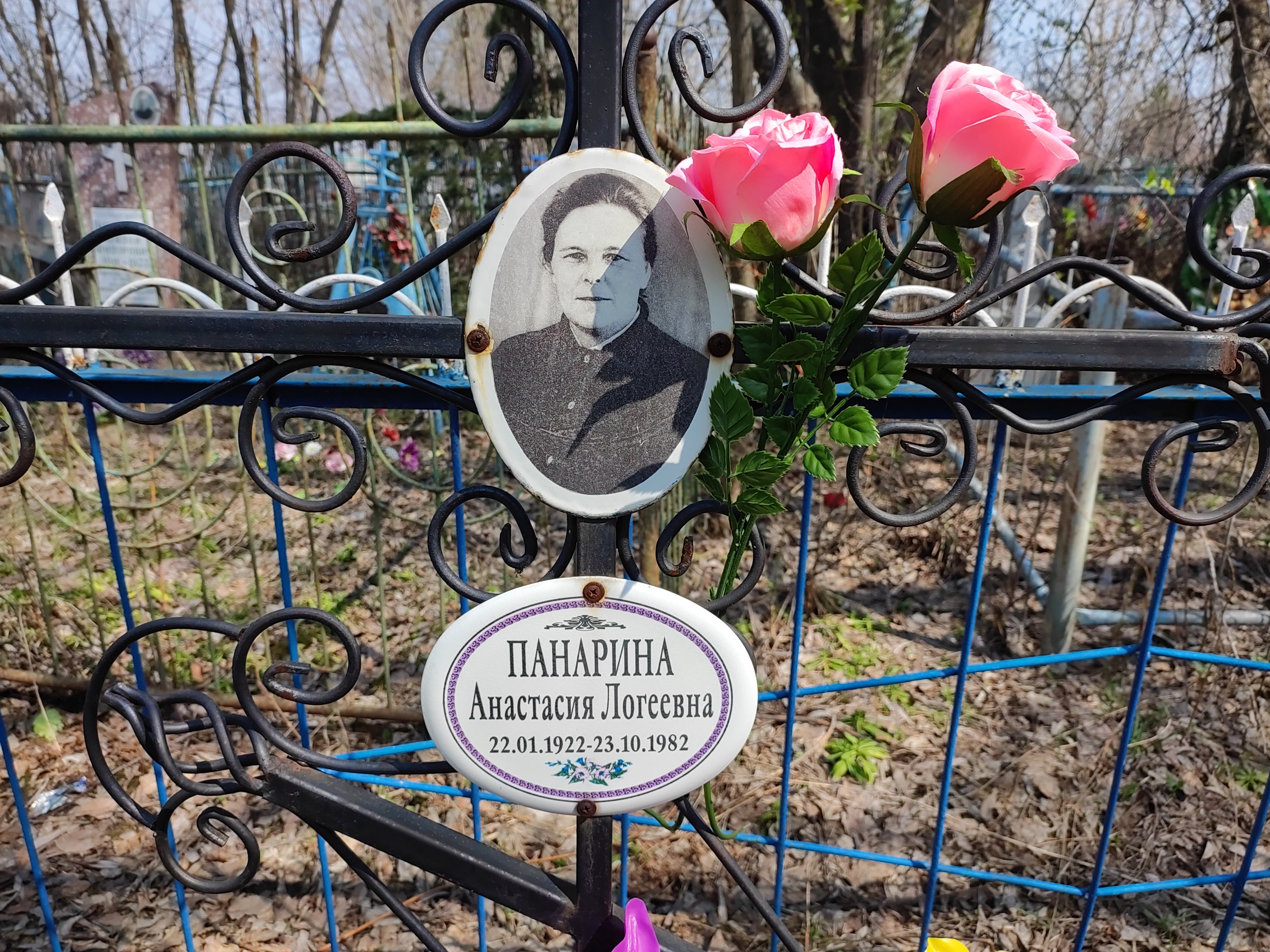 Панарина Анастасия Логеевна